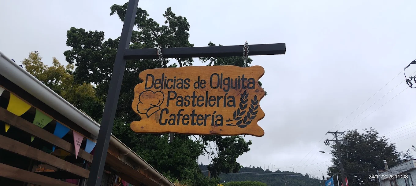 Delicias de Olguita